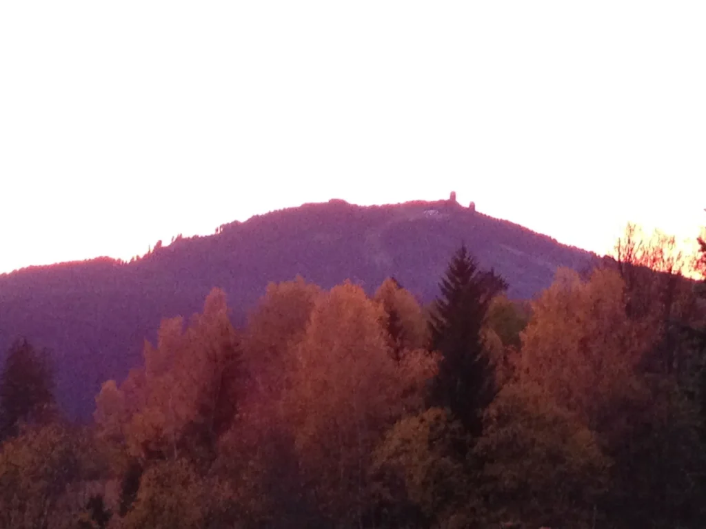 Herbstwald vor dem Arber