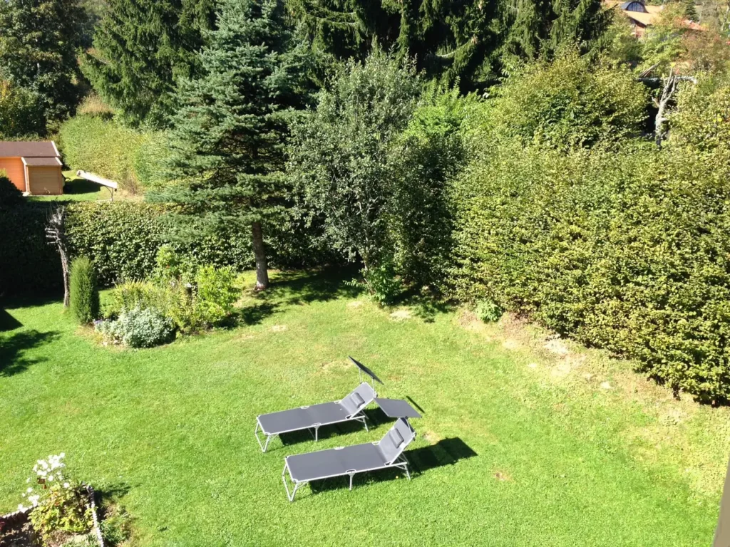 Liegewiese im Garten der Pension